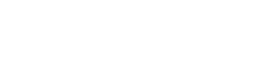 The Paul E .Singer Foundation