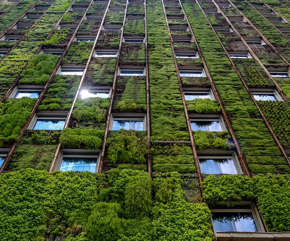 Sustainability, Wall of Green Plants on Skyrise - Michigan Israel Business Accelerator